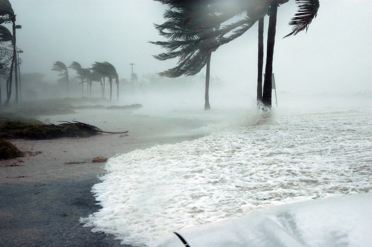 Hurricane hitting Key West, Florida with strong winds bending palm trees and storm surge waves crashing on the shore.