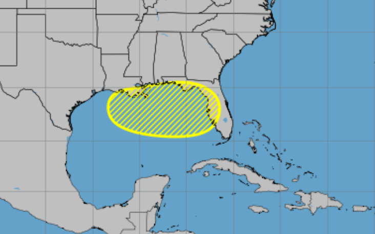 Atlantic Tropical Weather Outlook map showing a low chance (yellow hatched area) of tropical cyclone formation over Florida and the northeastern Gulf of Mexico in the next seven days, as of July 12, 2025.